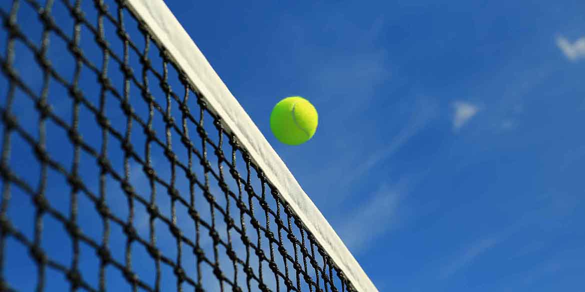 Tennis court net and ball